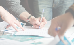 大鹏行业门户网站建设